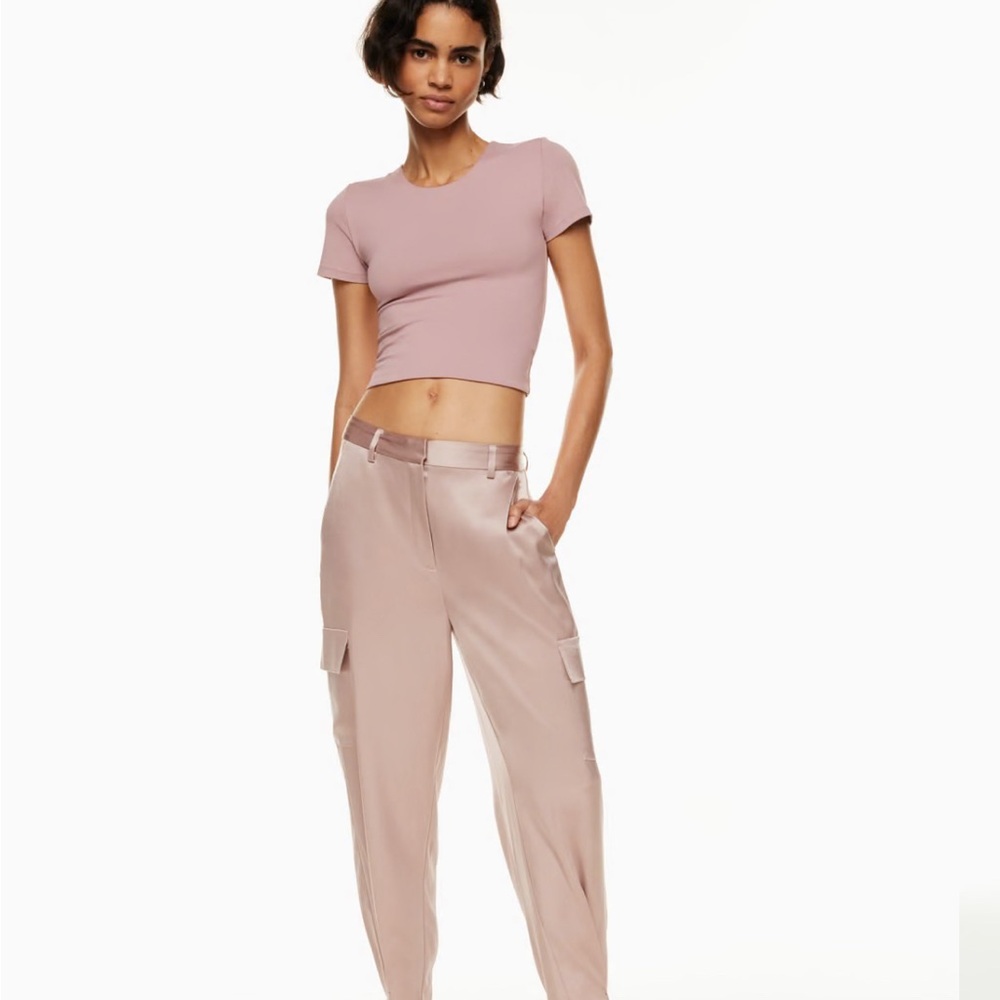 Aritzia dress cargos